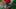 Project Phase Image